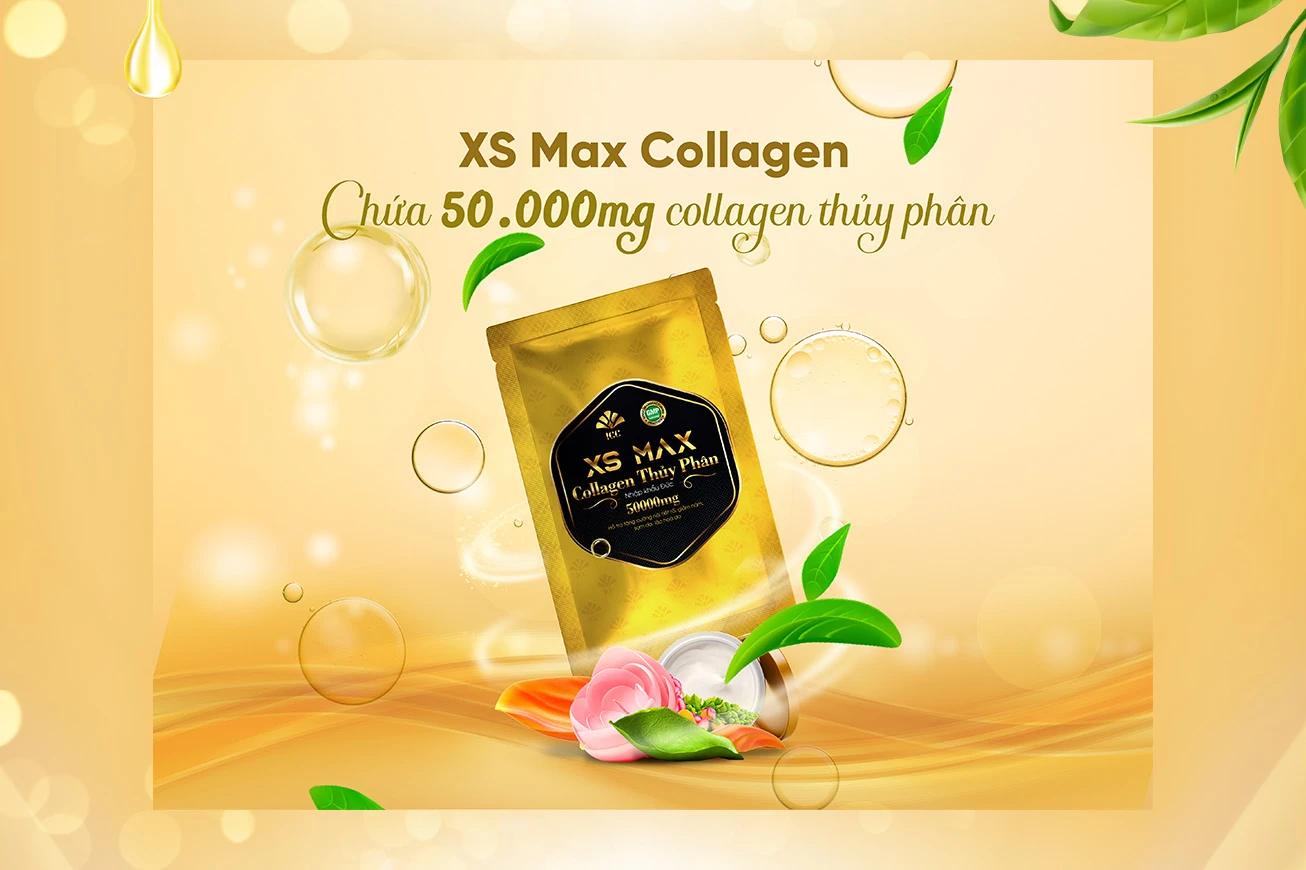 Thiết kế banner XS Max